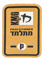 Practitioner P1