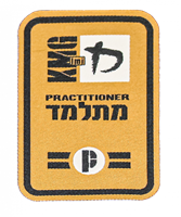 Practitioner P2