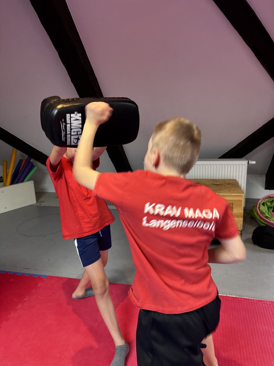 Young-Training
